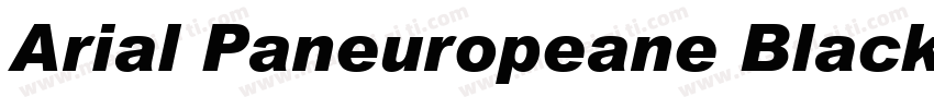 Arial Paneuropeane Black字体转换